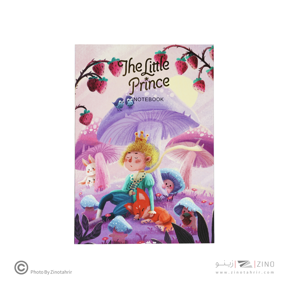 دفتریادداشت سری شازده کوچولو گلاسه سایز21*14همیشه