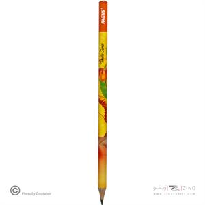 مداد مشکی فکتیس طرح میوه 