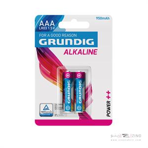 باتری نیم قلمی آلکالاین2عددی گروندیک کد108