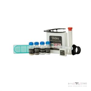 میکروسکوپ زیتازی دانش آموزشی آیبکس مدلYELLOW SCOPE 480X